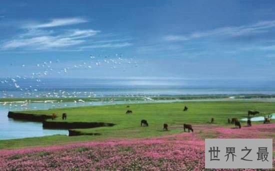 中国最大淡水湖潘阳湖,国家级的自然保护区!