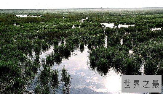 中国最大淡水湖潘阳湖,国家级的自然保护区!
