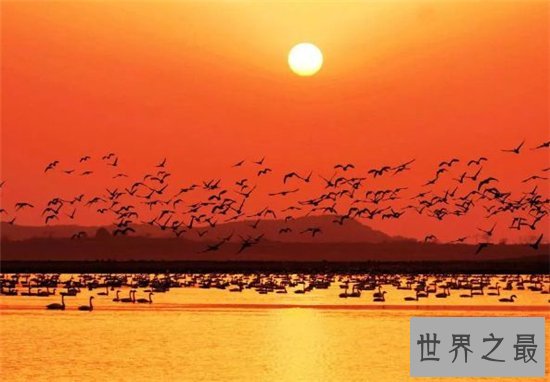 中国最大淡水湖潘阳湖,国家级的自然保护区!