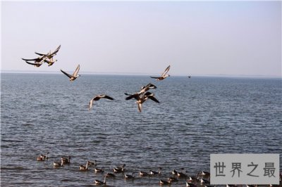 ​中国最大淡水湖潘阳湖，国家级的自然保护区！