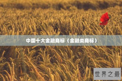 ​中国十大金融商标（金融类商标）