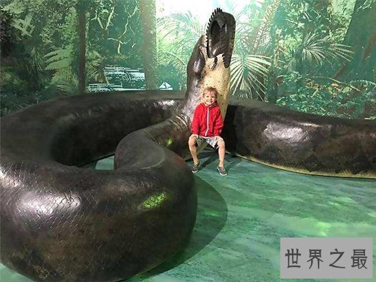 泰坦巨蟒早在五千年前灭绝,体重可以超过一千千克
