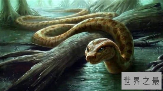 泰坦巨蟒早在五千年前灭绝,体重可以超过一千千克