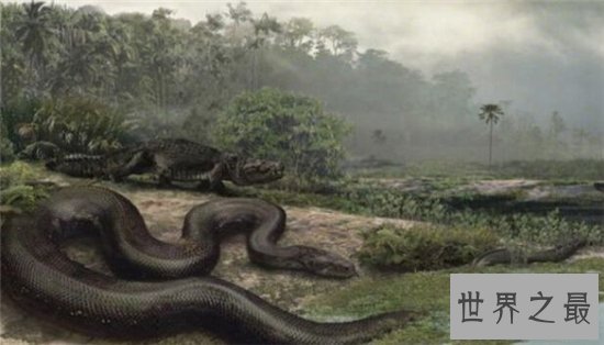 泰坦巨蟒早在五千年前灭绝,体重可以超过一千千克