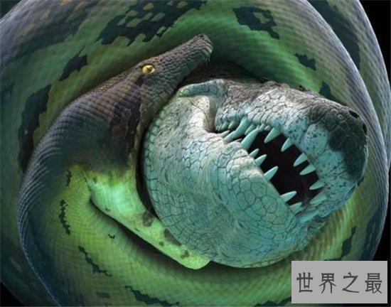 泰坦巨蟒早在五千年前灭绝,体重可以超过一千千克