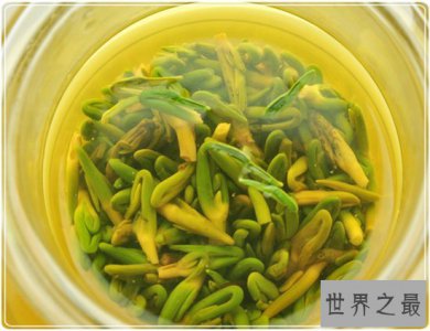 ​莲子心的功效与作用，对治疗便秘具有良好功效