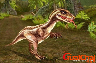 ​恐龙王有哪些恐龙？恐龙王是什么？