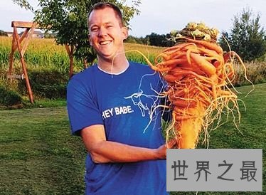 盘点世界之最蔬菜，世界最重胡萝卜20.34斤已成精