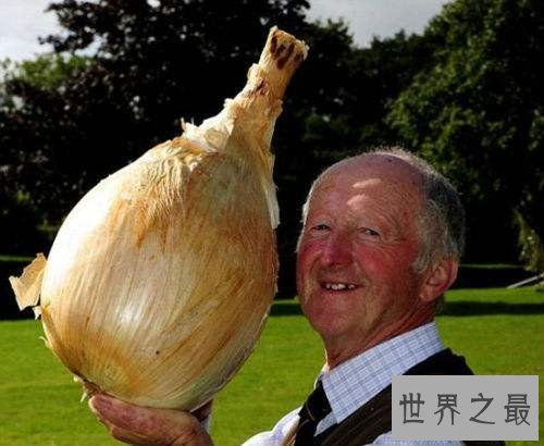 盘点世界之最蔬菜，世界最重胡萝卜20.34斤已成精