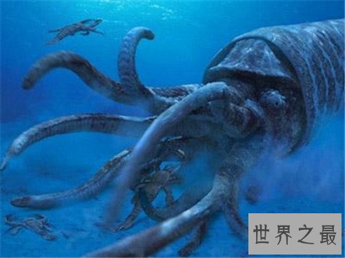 世界上最大的鱿鱼,能够轻易撕裂船只!