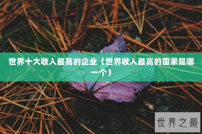 ​世界十大收入最高的企业（世界收入最高的国家是哪一个）