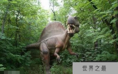 ​暹罗龙：亚洲大型食肉恐龙，体长达9.1米(距今1亿年前)