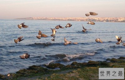 ​世界最小的海，仅1.13万平方千米