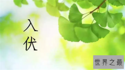 ​二十四节气中入伏是哪天 入伏竟然每年都不一样其中有着怎样的秘密