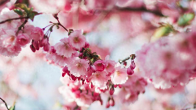 ​群成员头衔好听的名称 萌萌哒的群头衔男女都适合