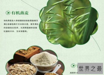 ​盘点世界最好米粉 怎么吃才会对宝宝更好呢？