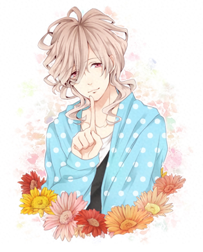 兄控和妹控不容错过的动漫兄弟战争，一大群帅哥哥打包奉送