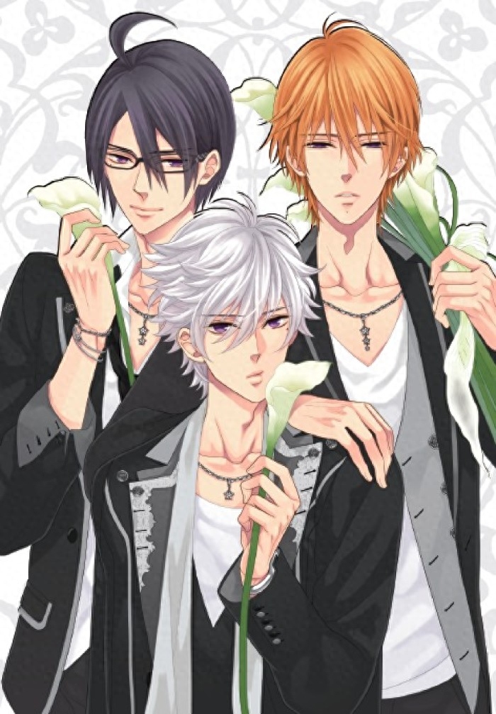 兄控和妹控不容错过的动漫兄弟战争，一大群帅哥哥打包奉送