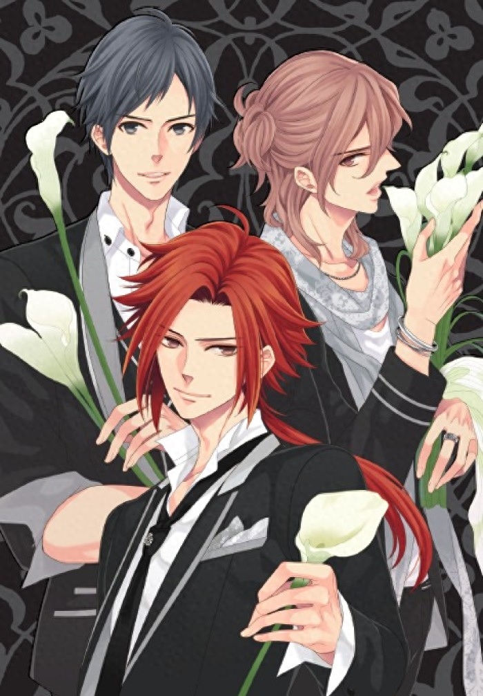 兄控和妹控不容错过的动漫兄弟战争，一大群帅哥哥打包奉送