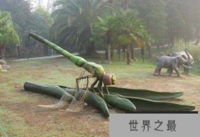 ​地球出现过的最大生物，出现过体型最大的8种生物