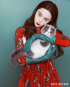 ​章子怡裸替微博爆料：范冰冰至少判五年，范丞丞身份再遭质疑