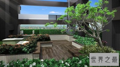 ​还在感叹世界七大奇迹吗 轻松拥有属于你的空中花园