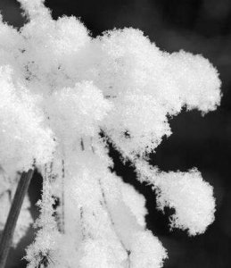 ​一般多少度会下雪 气温–3℃至0℃下雪可能性大