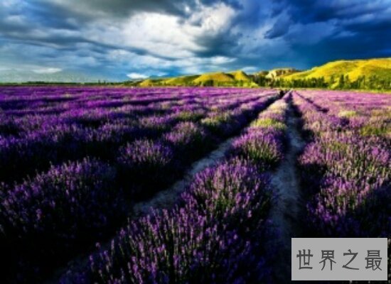 国外旅游景点排行榜前十名  出国旅游必去的地方