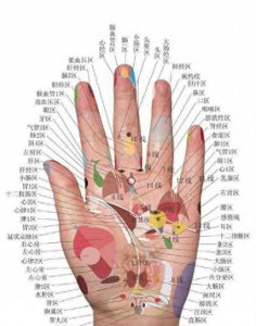 ​清晰手诊图解，看图也能看懂
