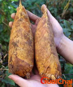 ​冬笋怎么做好吃又简单？做冬笋要注意什么？