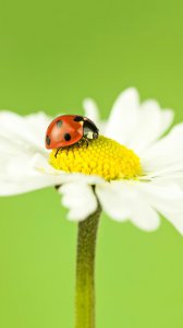 ​20以内退位减法的小技巧！（为一年级孩子果断收藏）