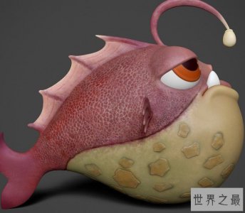 ​最具欣赏价值的鱼类—头顶可发光