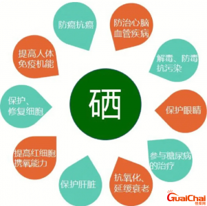 ​补硒的作用与功效图片 硒的作用与功效