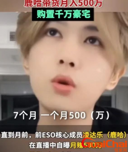 ​鹿晗模仿者鹿哈凌达乐是怎么火的，凌达乐一年赚多少钱？