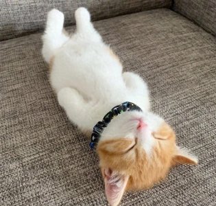 ​一个现代尸体防腐的完整过程