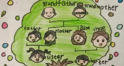 ​family的复数形式 family的复数怎么写