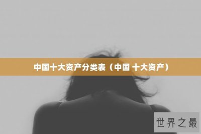 ​中国十大资产分类表（中国 十大资产）