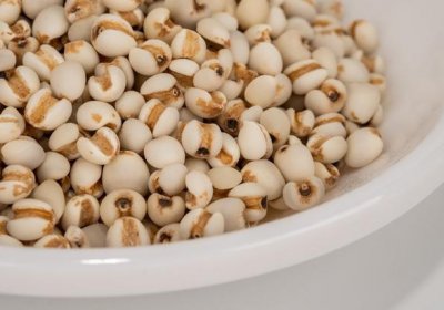 ​薏苡仁的功效与作用(《本草精荟》：粮药同源：薏苡仁的功效与应用)