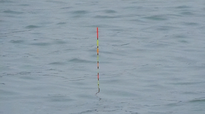 ​一步调漂又快又准 ，不妨试试这两种方法