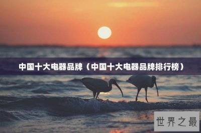 ​中国十大电器品牌（中国十大电器品牌排行榜）