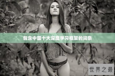​包含中国十大深度学习框架的词条