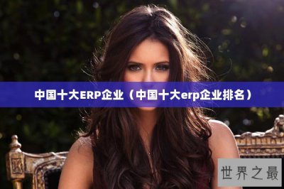 ​中国十大ERP企业（中国十大erp企业排名）