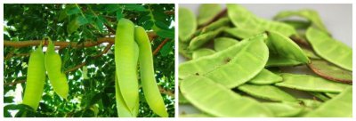 ​自制皂角洗发水教程（自制皂角洗发水，天然健康的养发生发方式，小时候都是皂