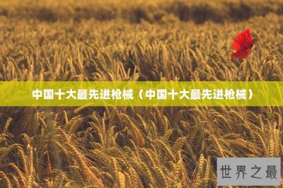 ​中国十大最先进枪械（中国十大最先进枪械）