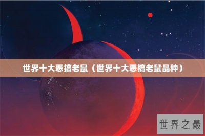 ​世界十大恶搞老鼠（世界十大恶搞老鼠品种）