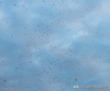 ​飞蚊症是什么原因造成的能治愈吗 该不该治？该如何治？