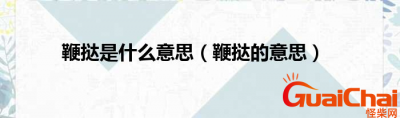​鞭挞是什么？鞭挞的意思是什么？