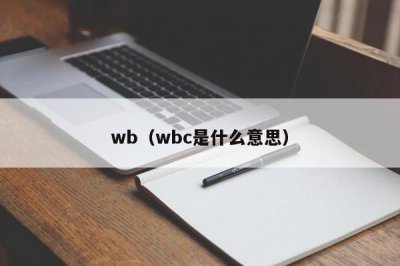 ​wb（wbc是什么意思）