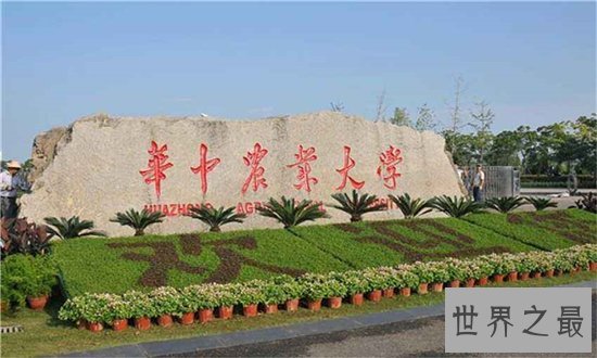 湖北大学排名,武汉大学披荆斩棘获得头筹!