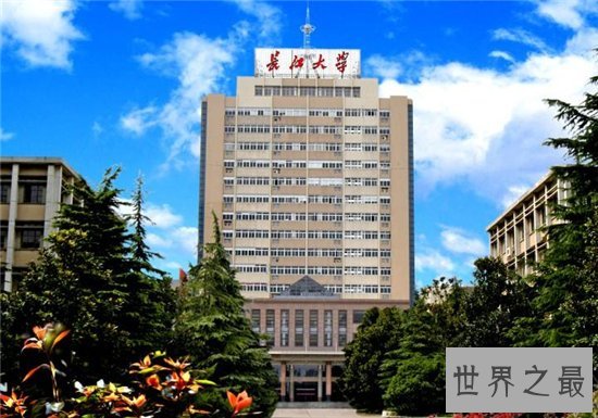 湖北大学排名,武汉大学披荆斩棘获得头筹!